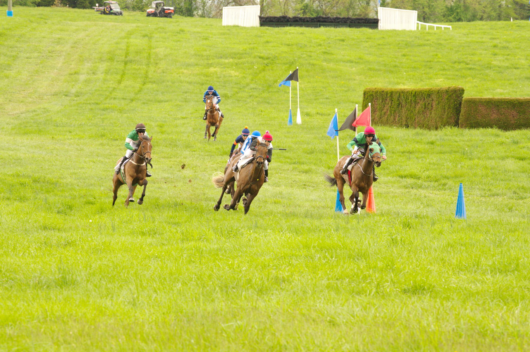 middleburg spring races